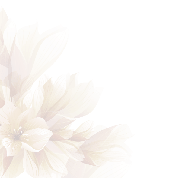 Veda Wellness